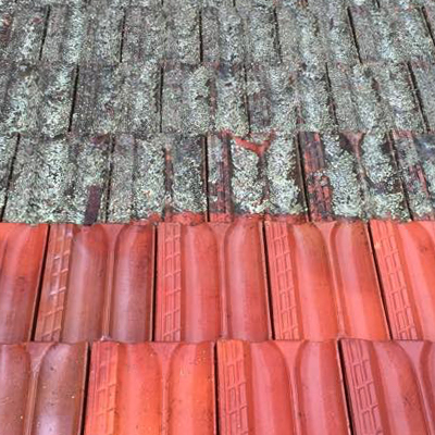 A tiled roof part way through cleaning, showing the difference.