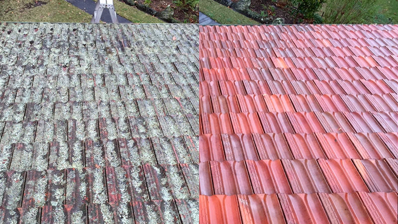 A tiled roof before and after cleaning.