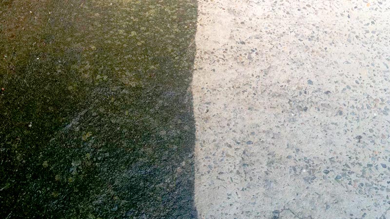 A concrete driveway before and after mould removal.