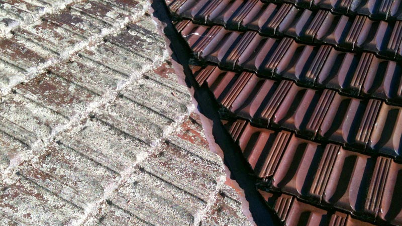 Lichen removed from a tiled roof, shown before and after.